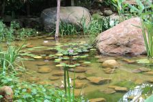 近青秀万达 兴宁区政府旁 两套打通 毛坯6房