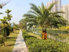 南沙大都汇 1室1厅 南