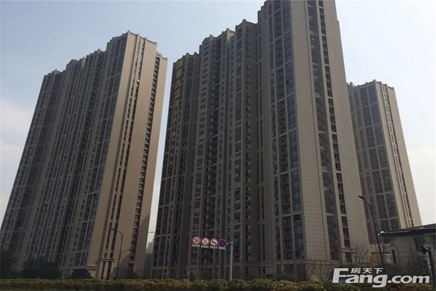 实景图