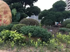 新世纪上河居 5室3厅 南