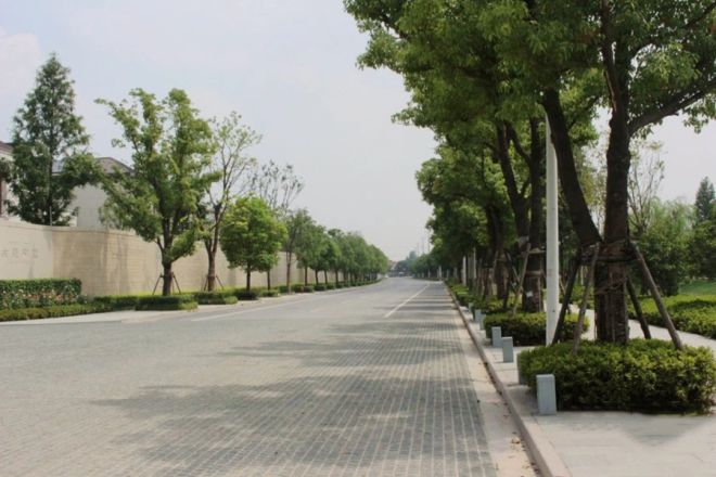 金臣别墅实景图