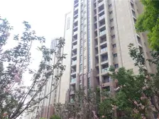 古北2016次新小区,标准四房,拎包入住,花园70%绿化