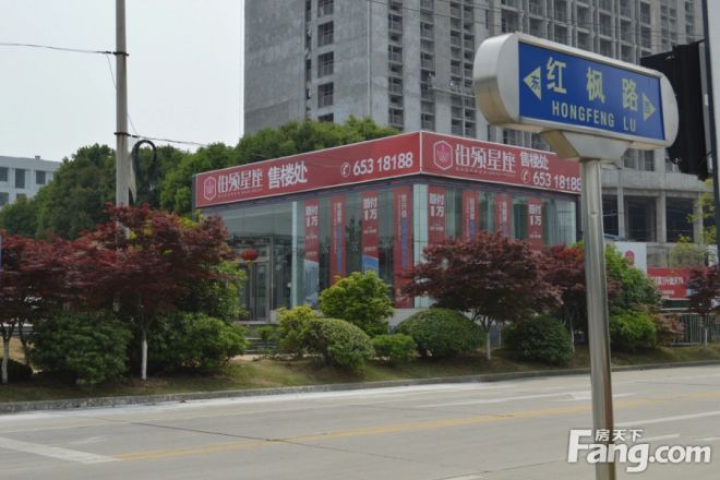 铂领星座实景图