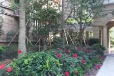 吴中濠景华庭 精装四室带车位 中式精装