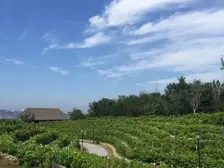 龙湖紫云台2.0 3室1厅 南 北