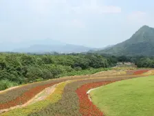 精装两房 过五唯一 带全屋家私家电 负离子空气