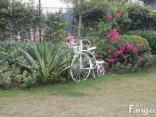 南沙保利城 2室2厅 北