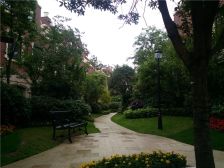 碧桂园海昌天澜 4室2厅 东 西