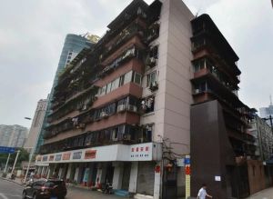 中南大街58号 4室1厅 南