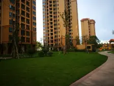 认房不认贷,深圳业主急急回深圳置换,价格你随便开