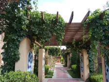 兰州什川古梨园别墅区联排,一楼带花园,有车库