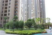 绿地璀璨天城经典户型 楼层好 采光好 通透