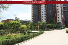 中信亚龙湾 3室1厅 南