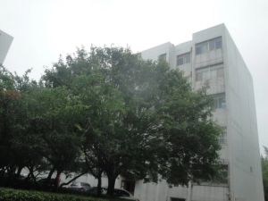 北海路国税局单位房130平多层中楼层带地下室