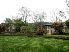 龙山望府,精装修联排,位置好。