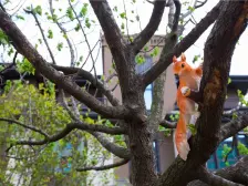 正荣御首府(龙轩路1998弄) 2室2厅 南 北