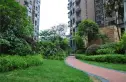 一里阳光公寓实景图