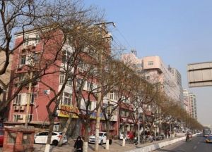 西城区二环边鸭子桥北里带加固阳台业主诚售