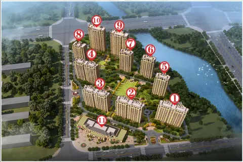 丁香园