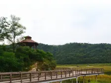 春田里洋房三室一厅一橱一卫户型,楼层好,清水现房