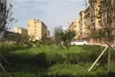 华洋和谐家园实景图