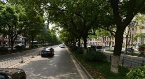 房型方正、正规居室、小区环境安静、前后视线好、光线好、阳光好