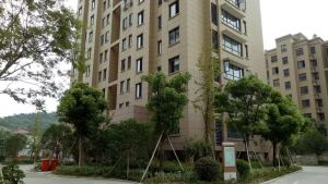 商品房小区人车分流婚装新自住保养好