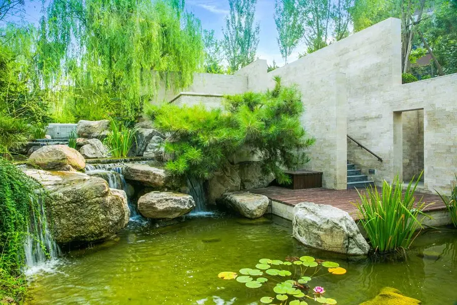 实景图