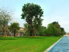 恒大御景半岛看海景正规三房,随时看房