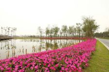保利碧湖苑3室2厅西南