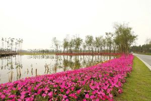 保利碧湖苑 4室2厅 南