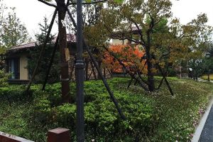 鸿坤原乡溪谷2室1厅南