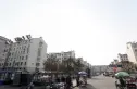 钵池山花园实景图