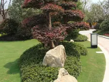 佘山地铁口飞机户型品质三房,业主诚心卖,随时看房