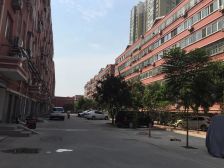 阳光花园温馨小三室 精装修 有地上储藏室