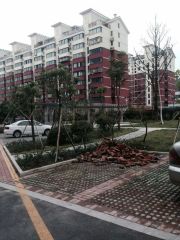东村雅苑,小区生活方便,交通也方便