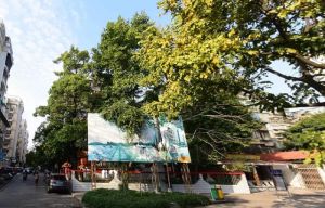 【芙蓉园】| 汕头市芙蓉园9幢103号房全套