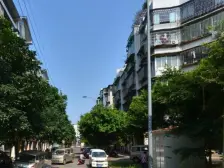 龙桥子小区 3室2厅 西南 西北