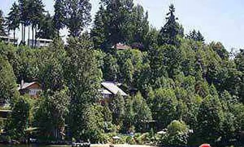 �����׸��ȶ��Ǵ�֮�� �Ƽ�ȫ�����ܺ�լ