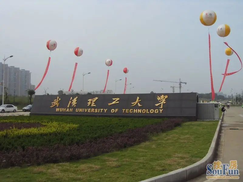 洪山新房市场动态与趋势分析