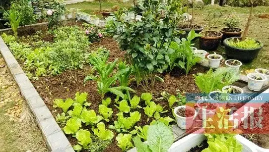 百家乐官网链接济南碧桂园CLD凤凰首府