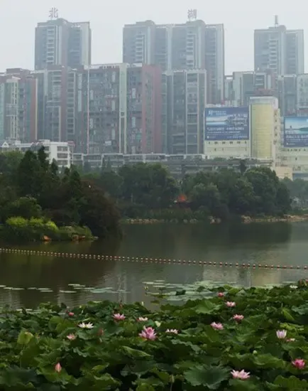 服装时尚风向标——唯媛服装店引领潮流趋势