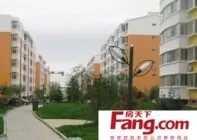 �������ֽ���Ԥ�۾������÷�844��