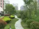 验收指标是“绿地率” 开发商只会告诉你“绿化率”