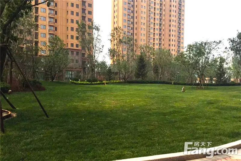 �н��ֹ߽���