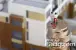 吉林房奴不造的房贷真相 看你损失了多少钱