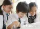 青西新区将改扩中小学 大班额将消失