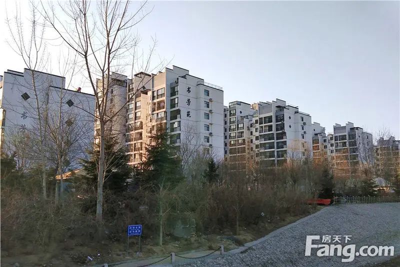 �鷼ԷС��