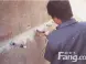 地下室防水堵漏市场价格如何?地下室防水堵漏市场材料价格如何?