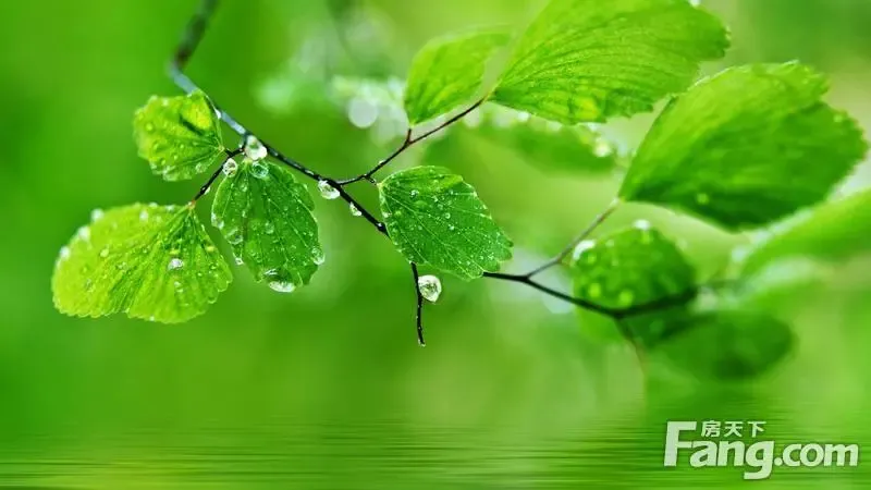 刷过乳胶漆的墙面可以贴壁纸吗贴壁纸的方法 手机房天下知识 刷过乳胶漆的墙面可以贴壁纸吗贴壁纸的方法 手机房天下知识